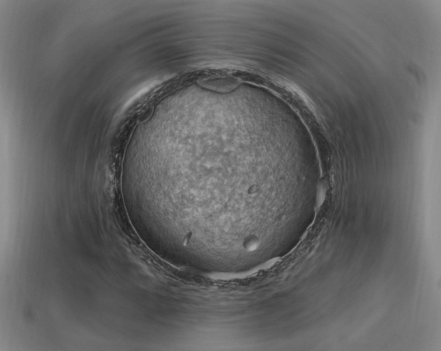 X0000114421064200910161223
