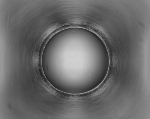X0000114421065200910161223