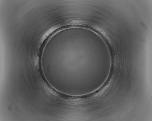 X0000114421066200910161223