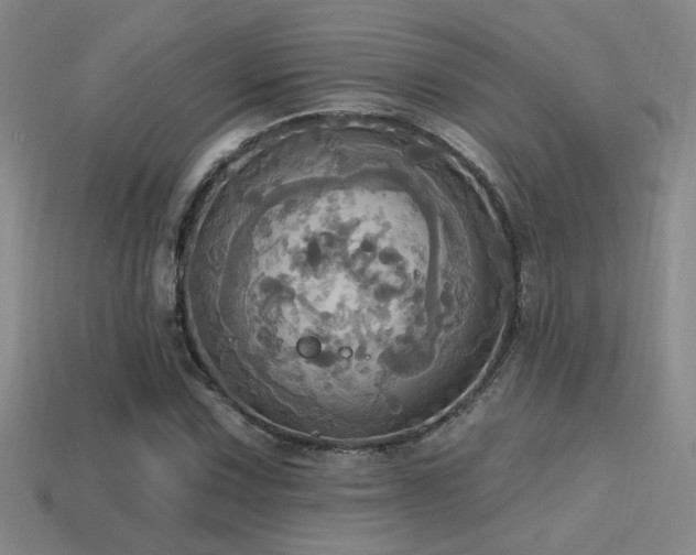 X0000114421067200910161223