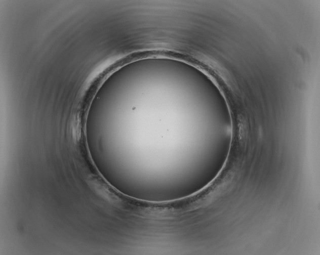 X0000114421069200910161223