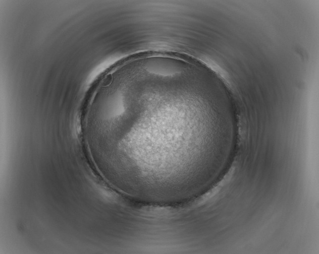 X0000114421070200910161223