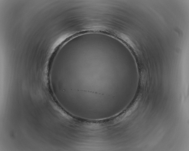 X0000114421071200910161223