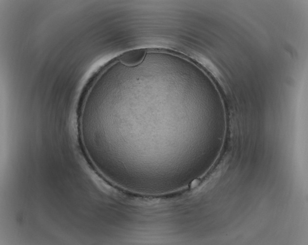 X0000114421072200910161223