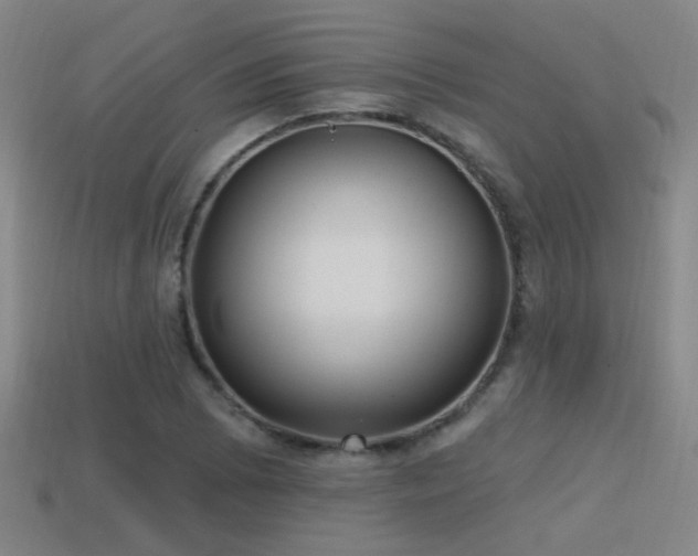X0000114421073200910161223