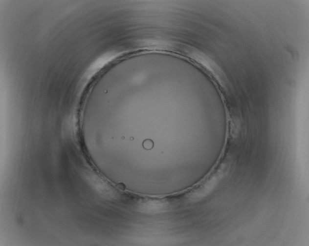 X0000114421074200910161223
