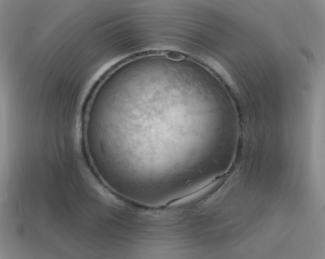 X0000114421076200910161223