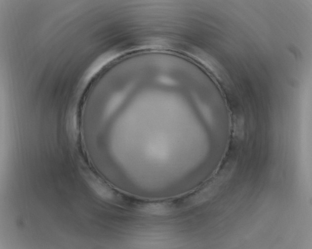 X0000114421078200910161223