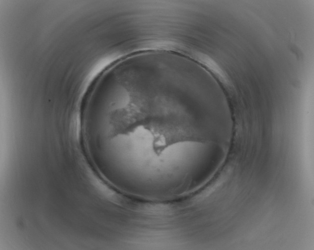 X0000114421079200910161223
