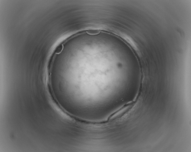 X0000114421080200910161223