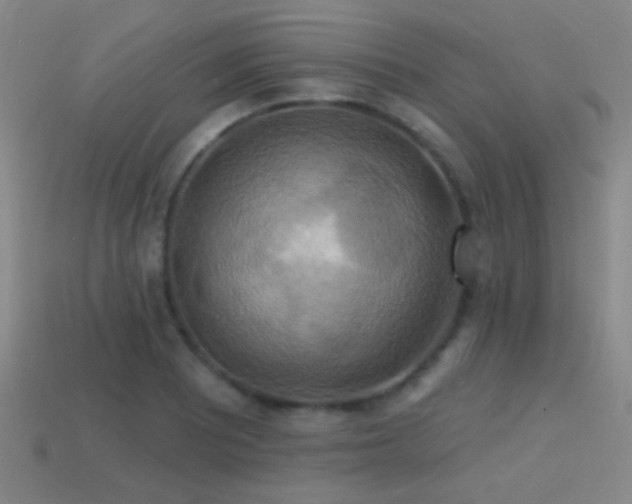 X0000114421081200910161223