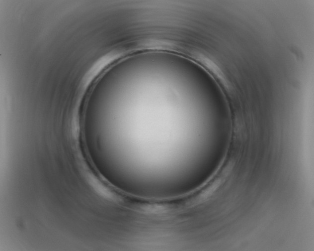 X0000114421082200910161223