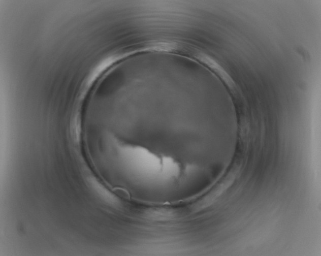 X0000114421083200910161223