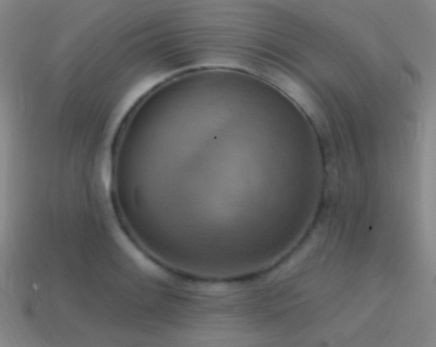X0000114421084200910161223
