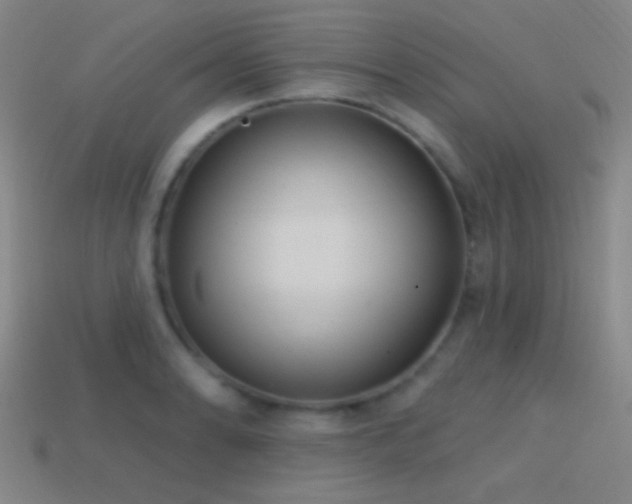 X0000114421086200910161223