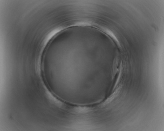 X0000114421087200910161223