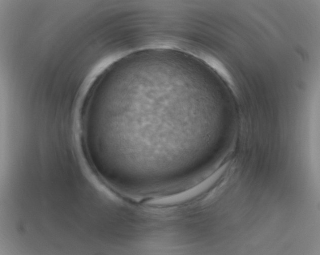 X0000114421088200910161223