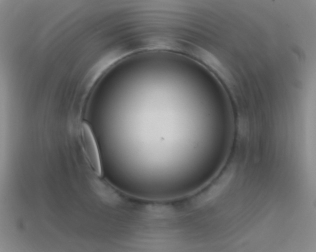 X0000114421089200910161223