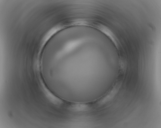 X0000114421090200910161223
