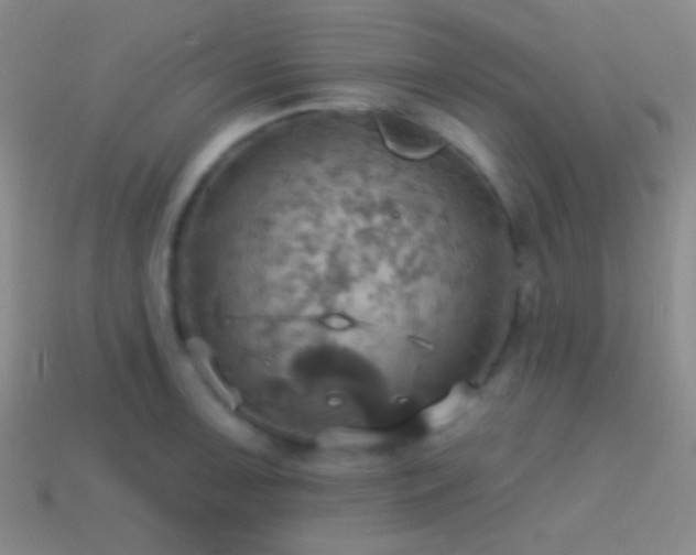 X0000114421091200910161223
