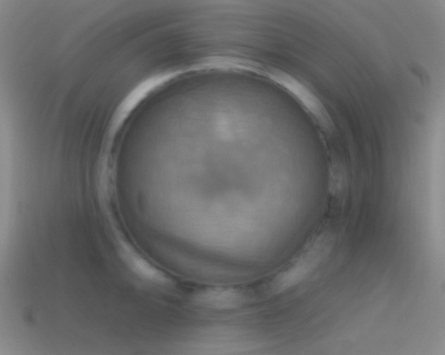 X0000114421094200910161223