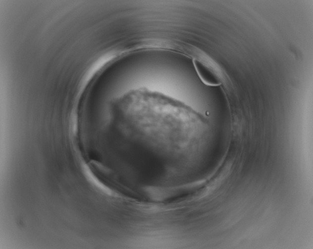 X0000114421095200910161223