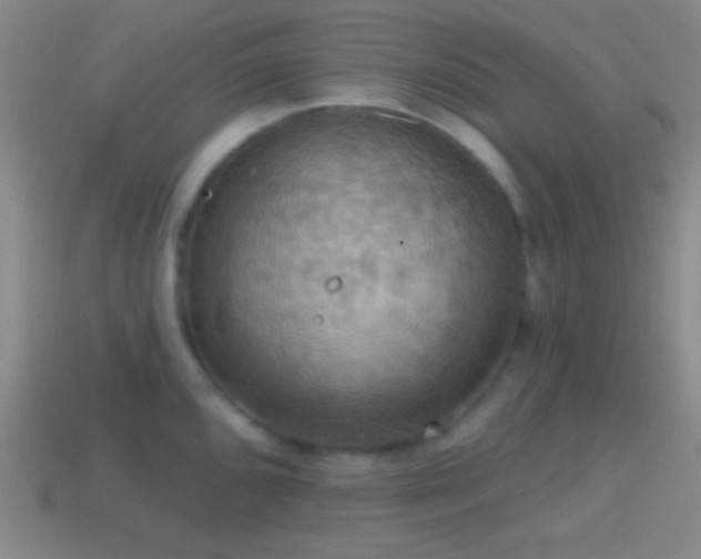X0000114421096200910161223