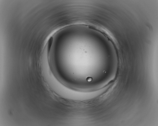 X0000114421097200910161223