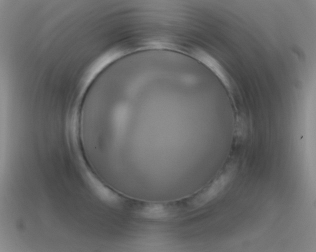 X0000114421098200910161223