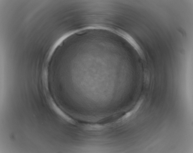 X0000114421100200910161223