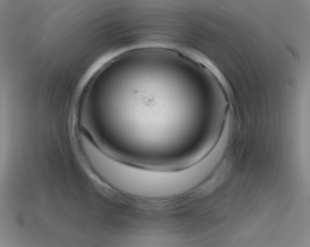 X0000114421101200910161223