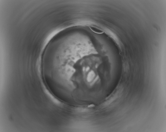 X0000114421103200910161223