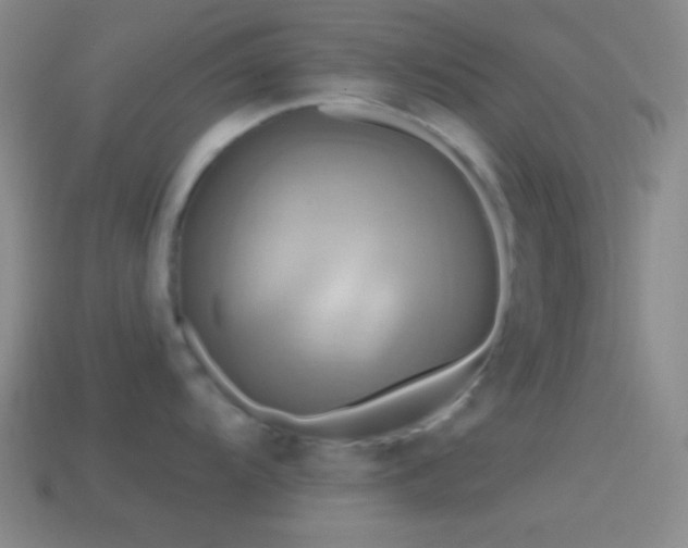 X0000114421104200910161223