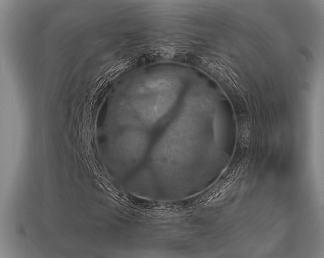 X0000114421105200910161222