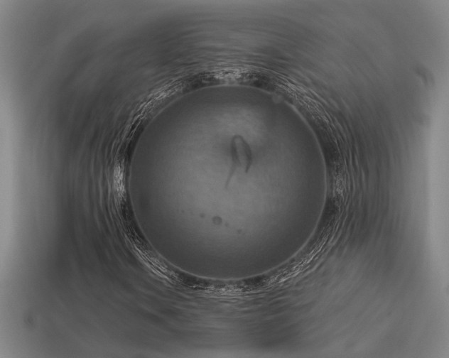 X0000114421106200910161222