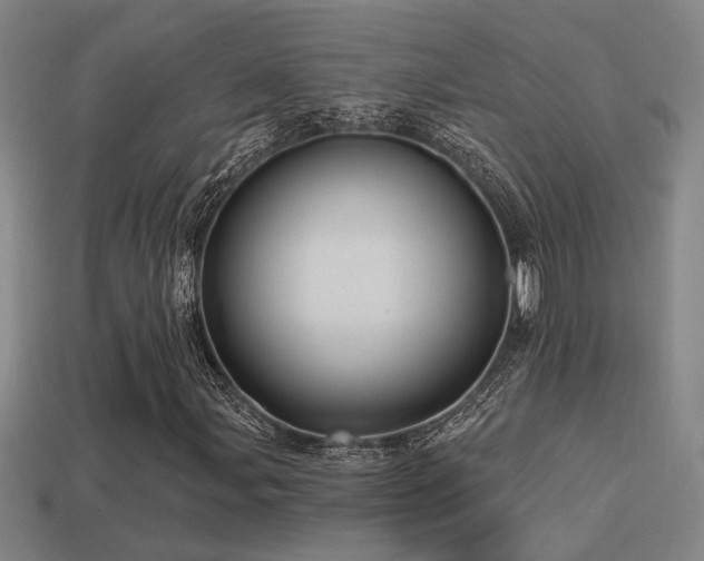 X0000114421107200910161222