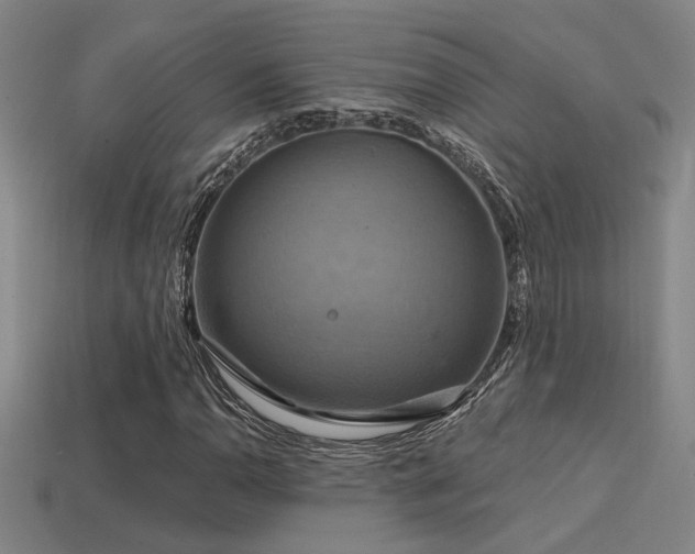 X0000114421110200910161222