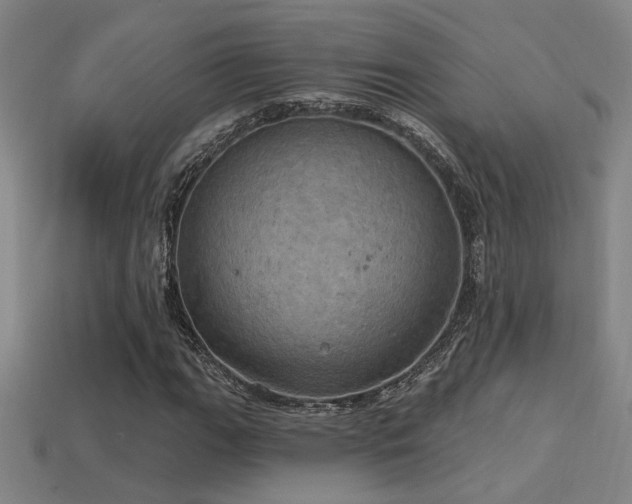 X0000114421111200910161222