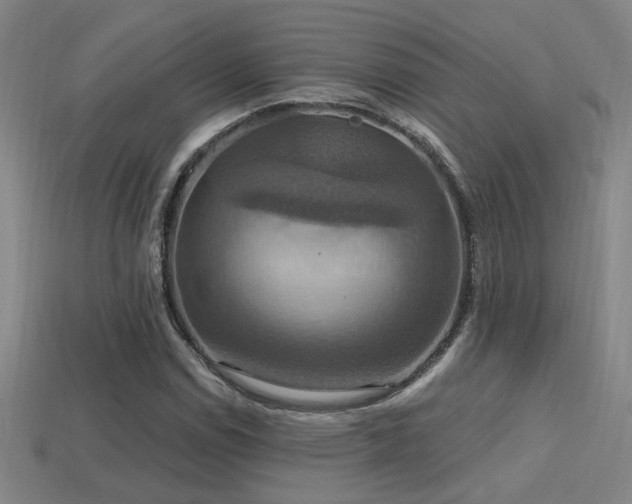 X0000114421114200910161222