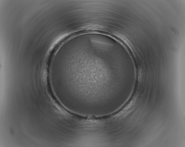 X0000114421115200910161222