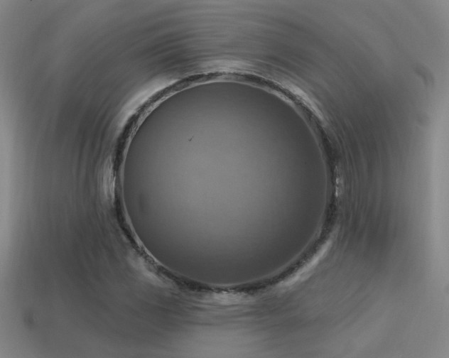 X0000114421117200910161222