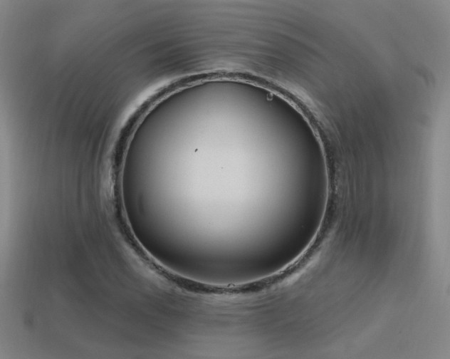 X0000114421118200910161222