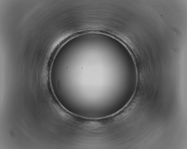 X0000114421119200910161222