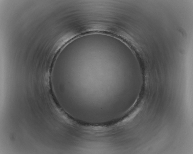 X0000114421121200910161222