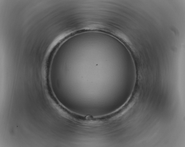 X0000114421122200910161222
