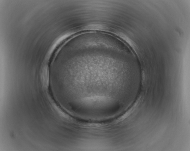 X0000114421123200910161222