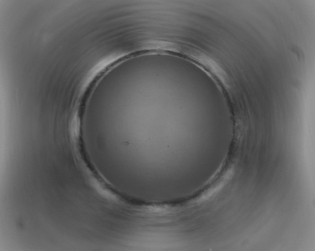 X0000114421125200910161222