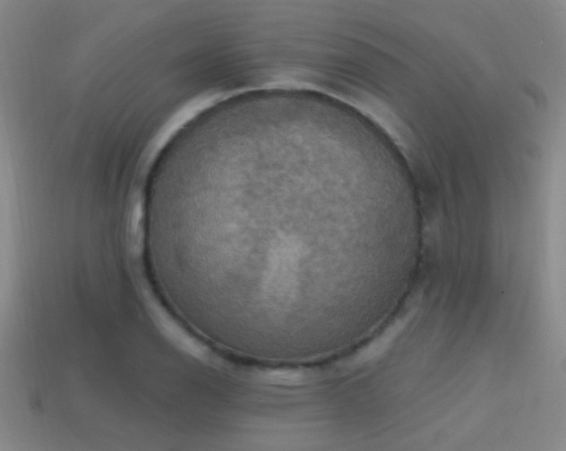 X0000114421126200910161222