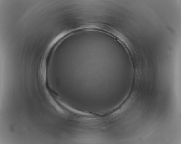 X0000114421127200910161222
