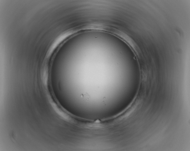 X0000114421131200910161222